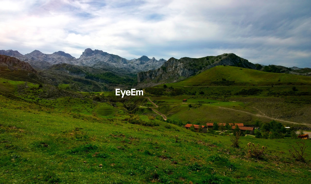 Scenic view of field and mountains against sky