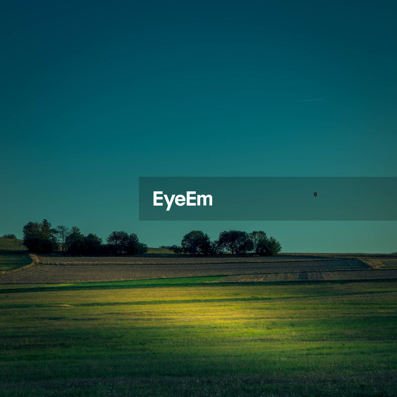 SCENIC VIEW OF FARM AGAINST CLEAR SKY