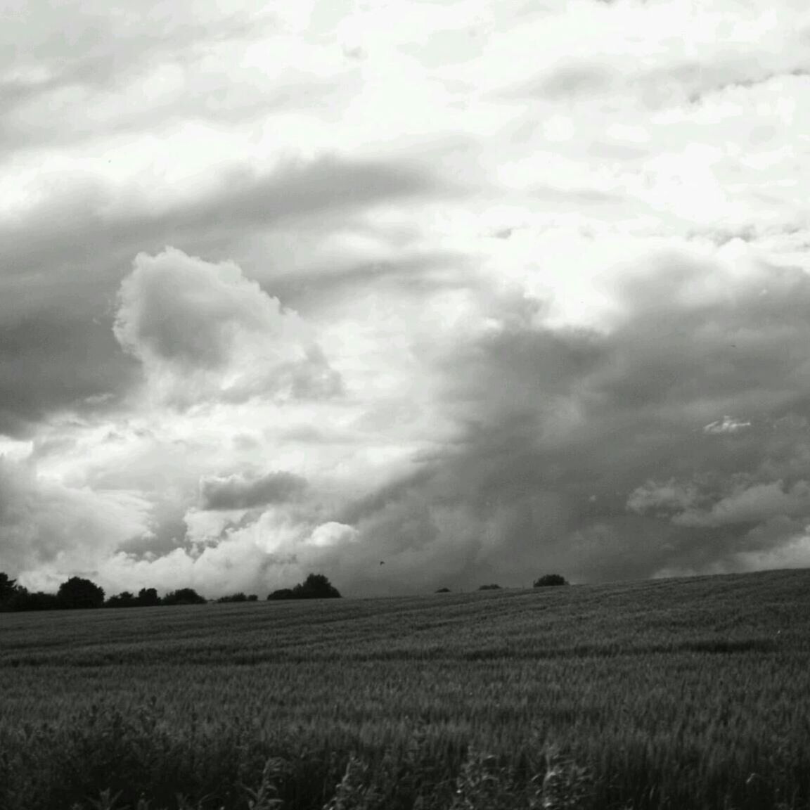 Scenic view of grassy field against cloudy sky