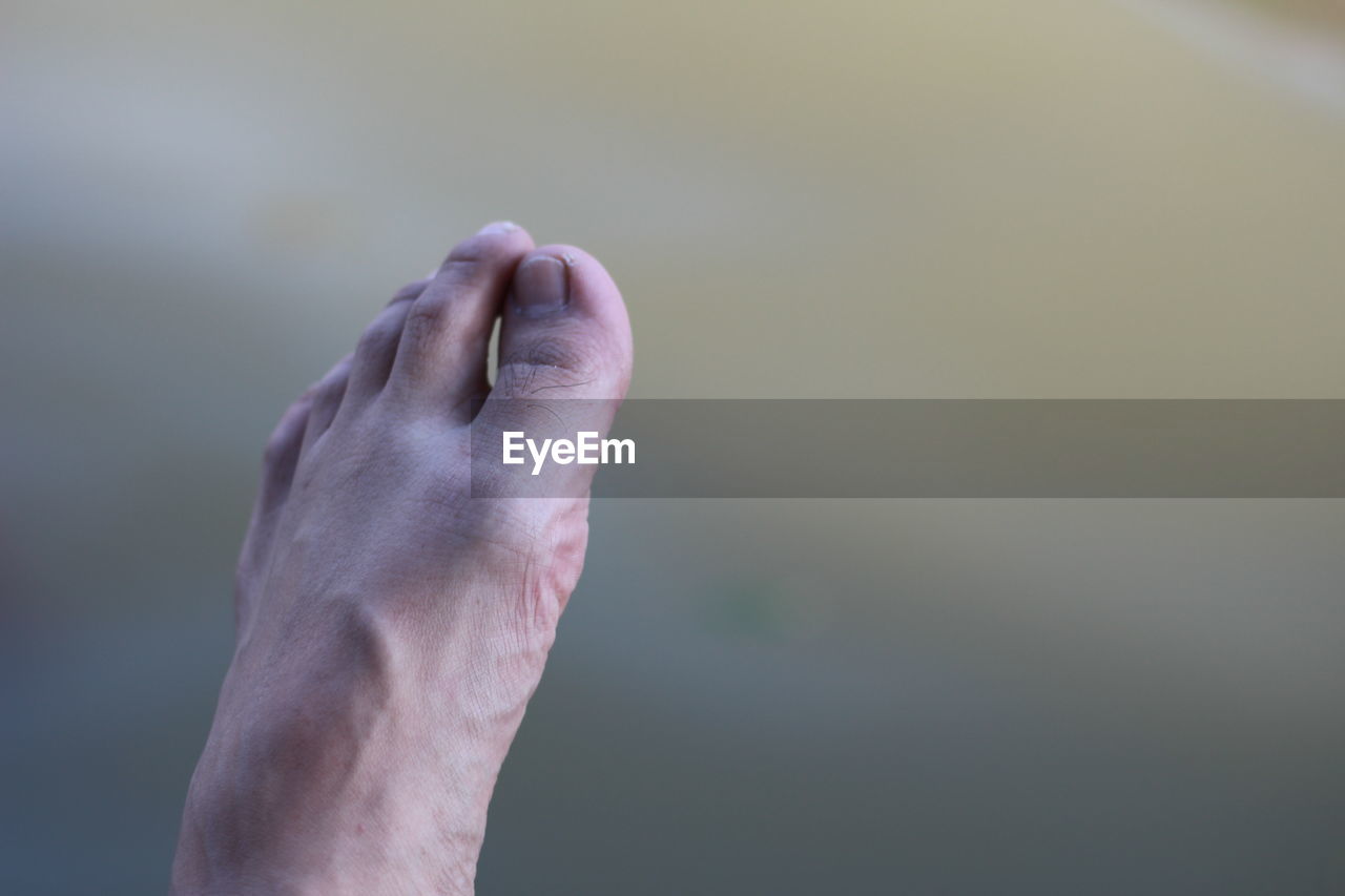 CLOSE-UP OF MAN HAND HOLDING BLURRED BACKGROUND
