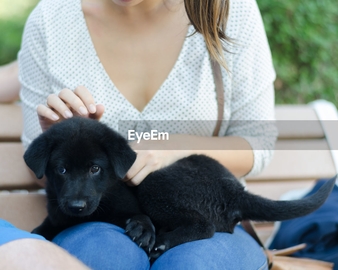 REAR VIEW OF WOMAN WITH PUPPY