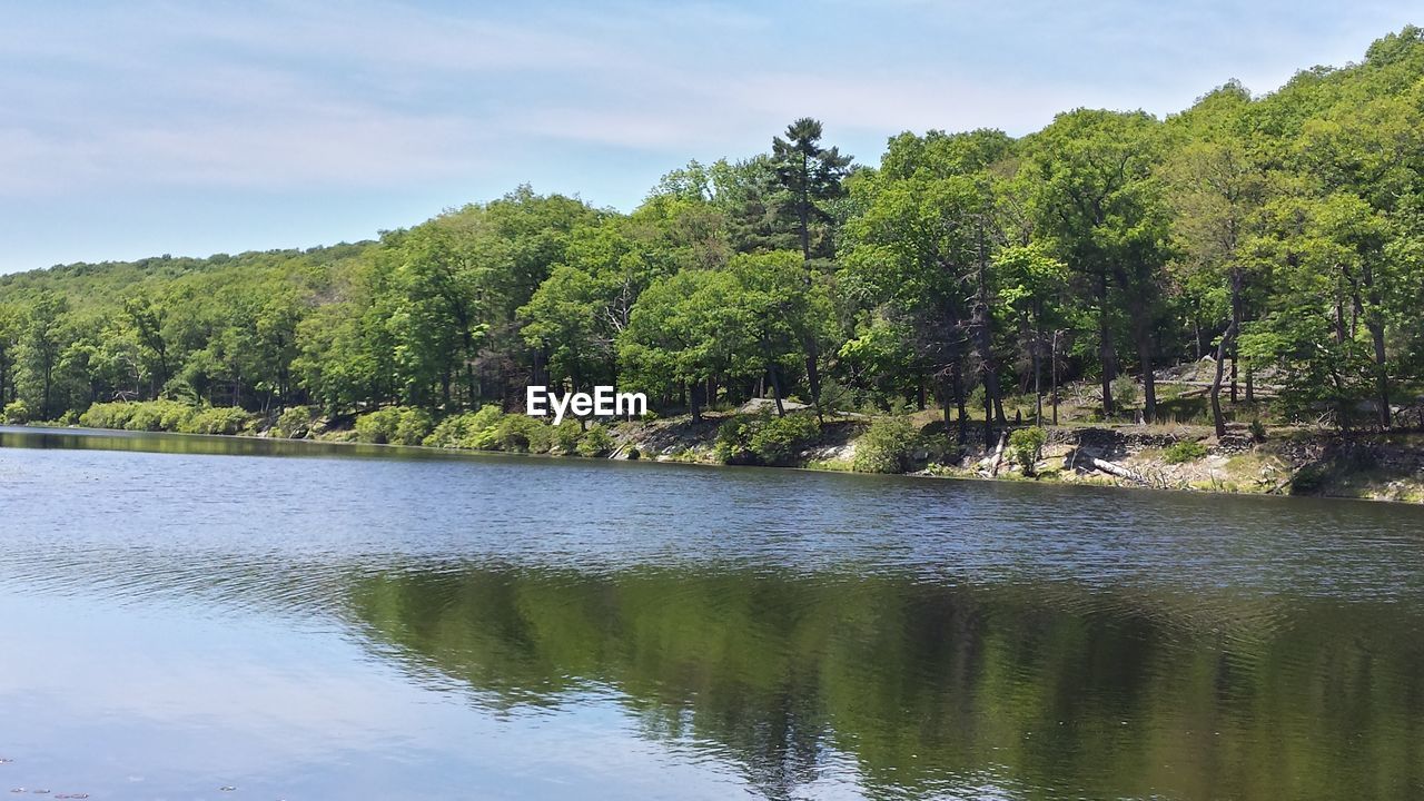 SCENIC VIEW OF LAKE WITH TREES IN BACKGROUND