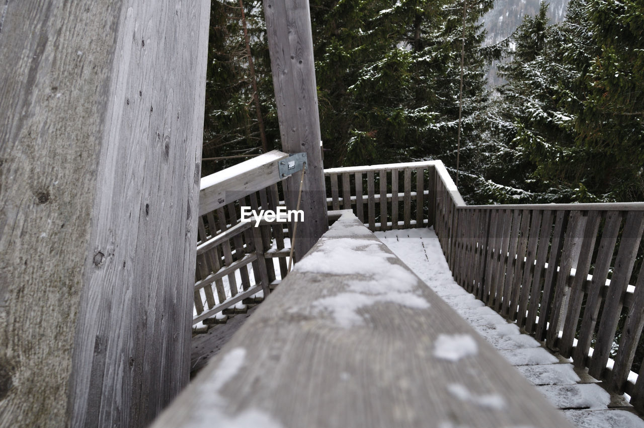 FOOTBRIDGE OVER TREES