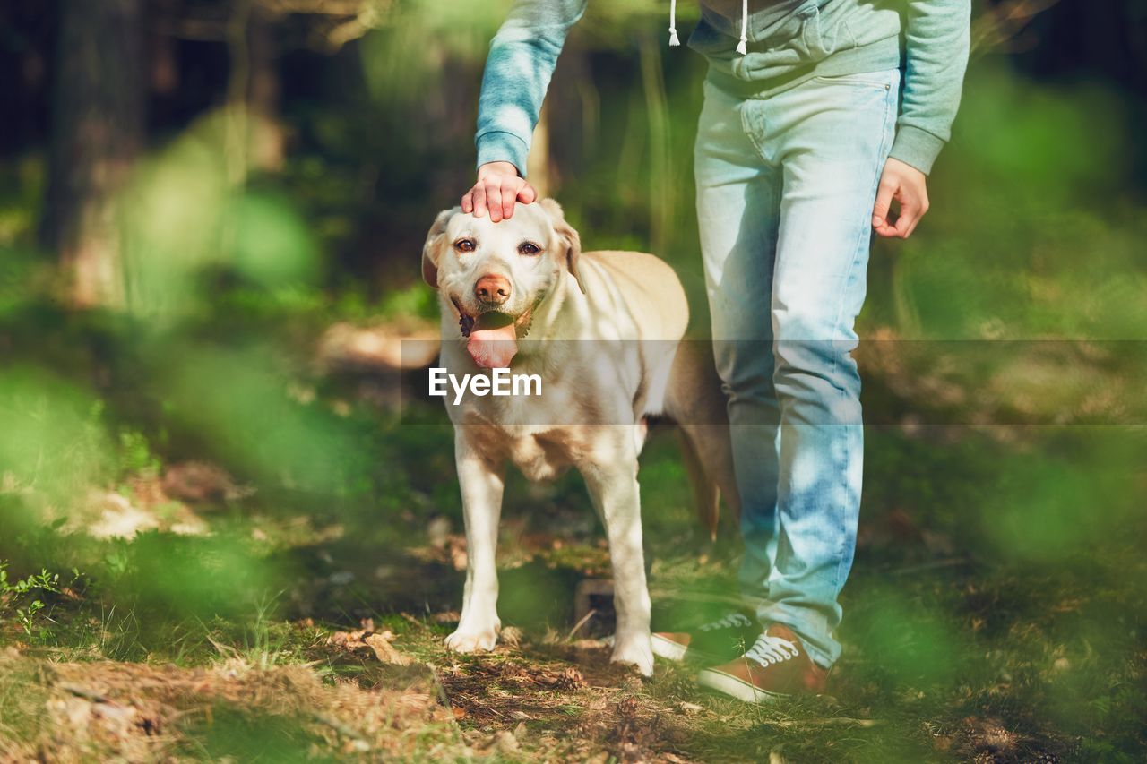 Low section of man standing by dog on field at forest