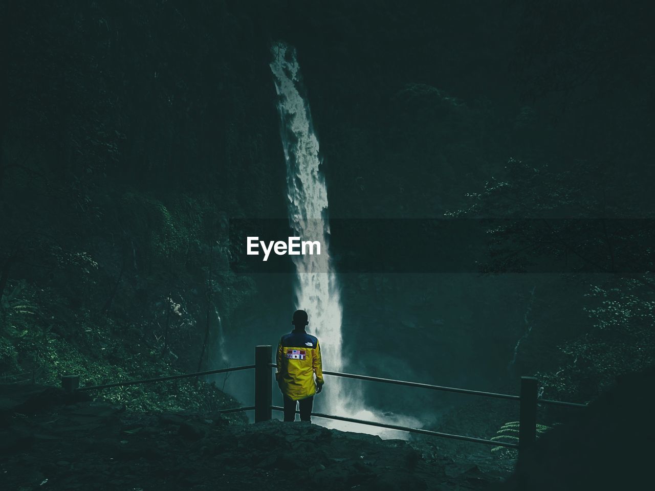 MAN STANDING BY WATERFALL IN PARK