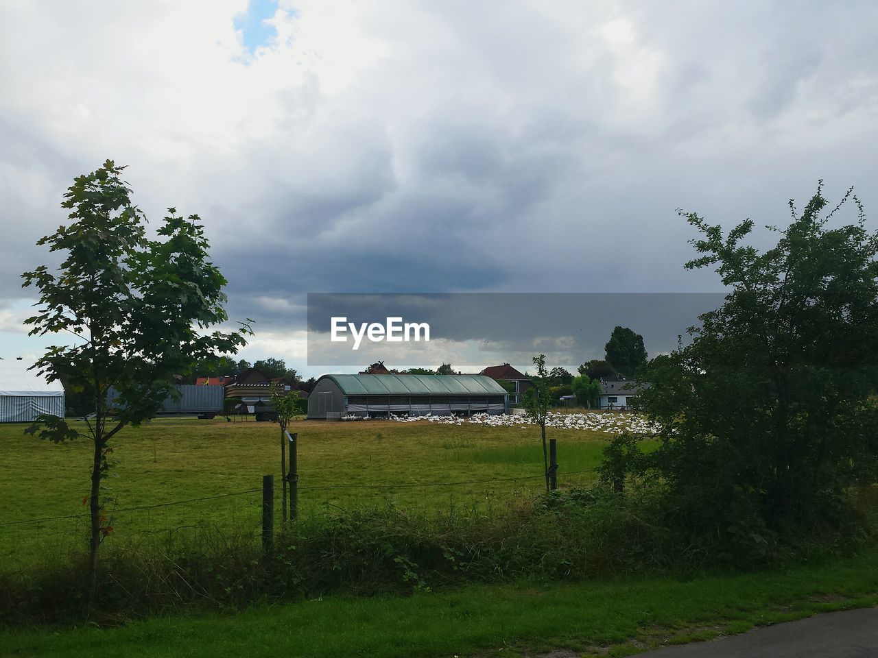 TREES ON FIELD AGAINST CLOUDY SKY