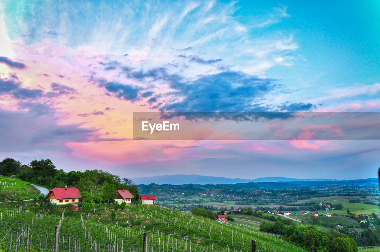 SCENIC VIEW OF FIELD AGAINST SKY DURING SUNSET