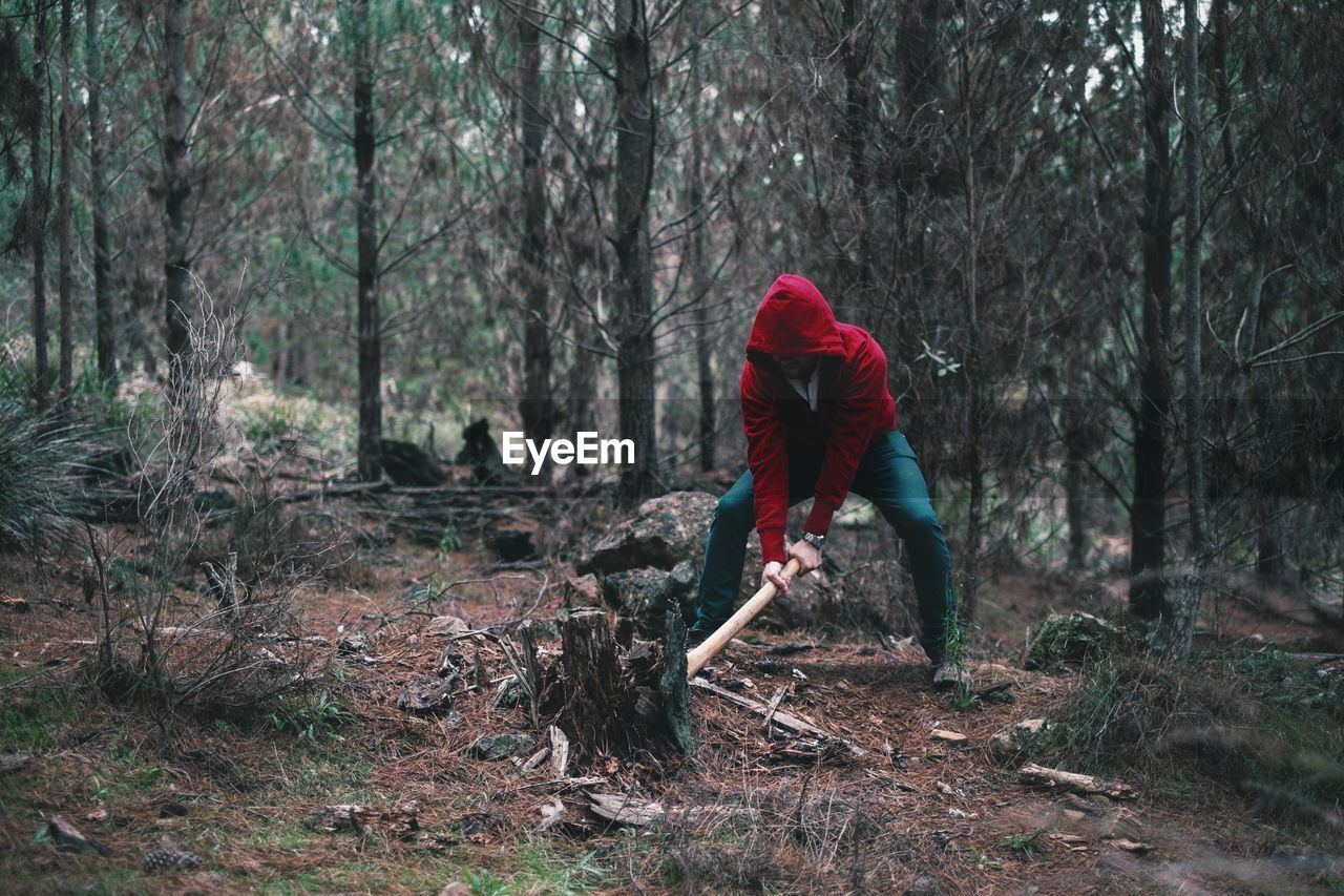 Full length of young man chopping wood with axe in forest