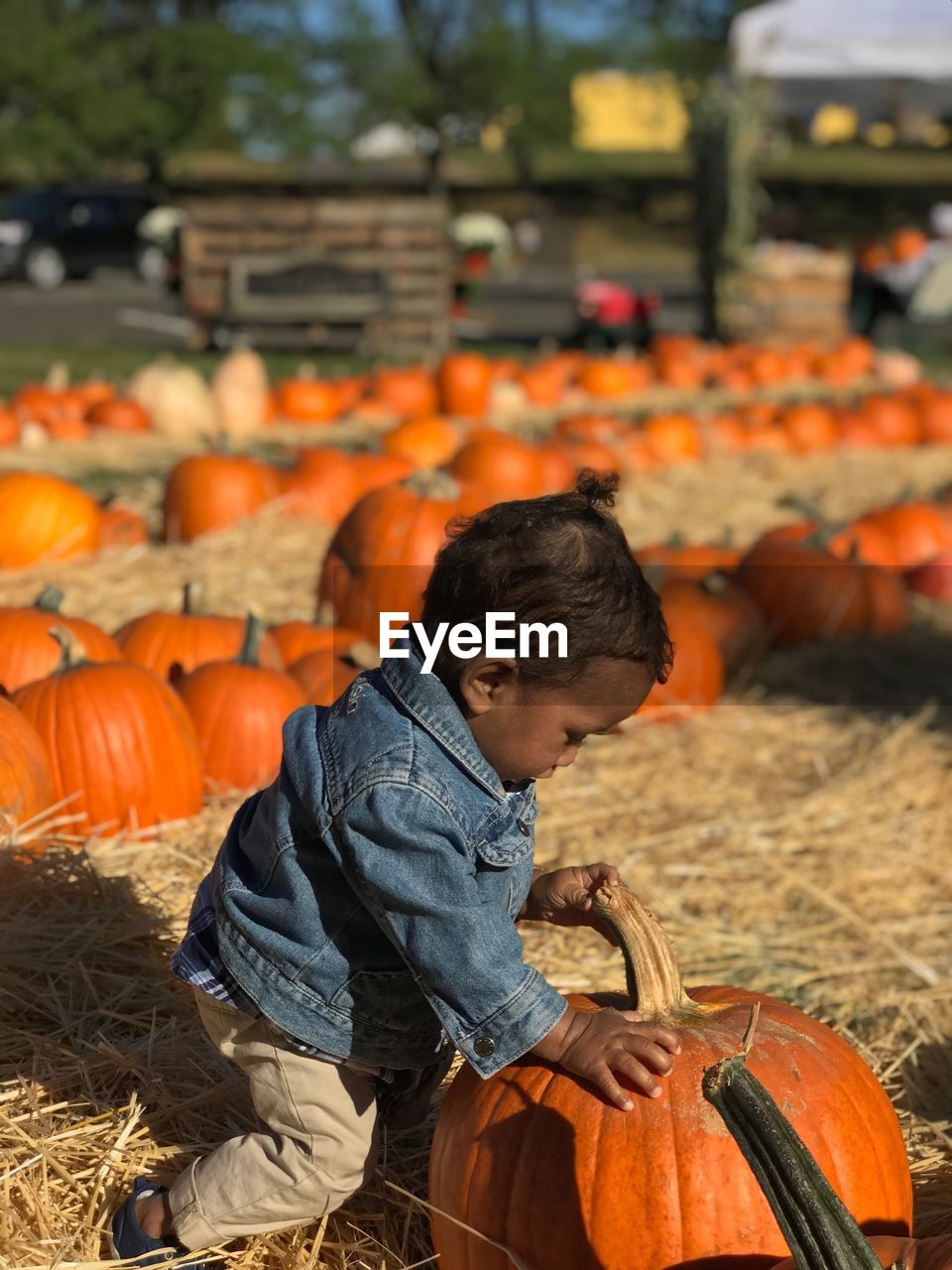 FULL LENGTH OF BOY STANDING ON FIELD AGAINST ORANGE WALL DURING HALLOWEEN