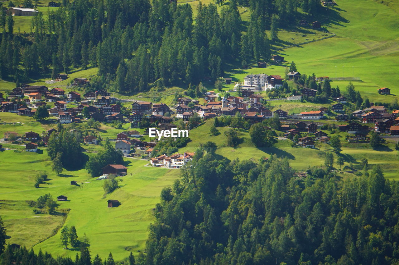 High angle view of trees and houses on field