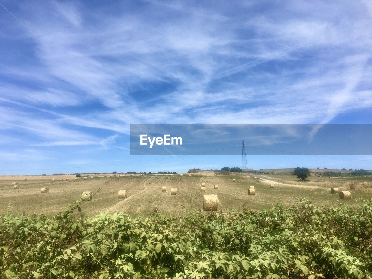 SCENIC VIEW OF FARM AGAINST SKY