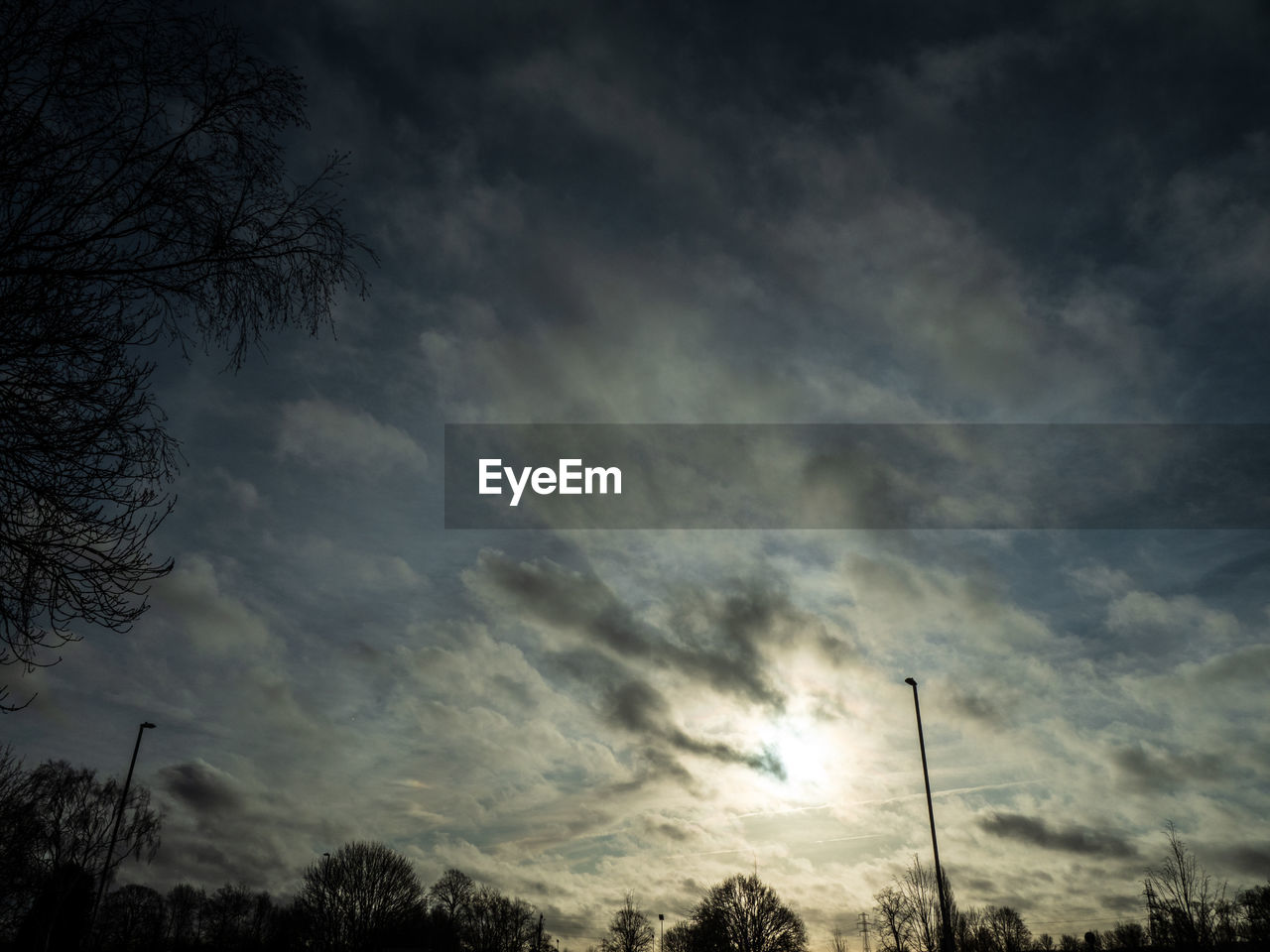 LOW ANGLE VIEW OF TREES AGAINST DRAMATIC SKY