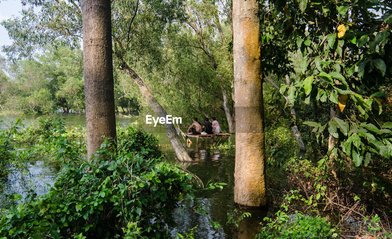 PEOPLE SITTING IN FOREST BY TREES