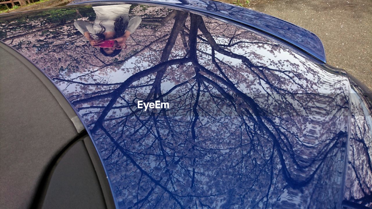 Reflection of woman and cherry blossom tree on car hood