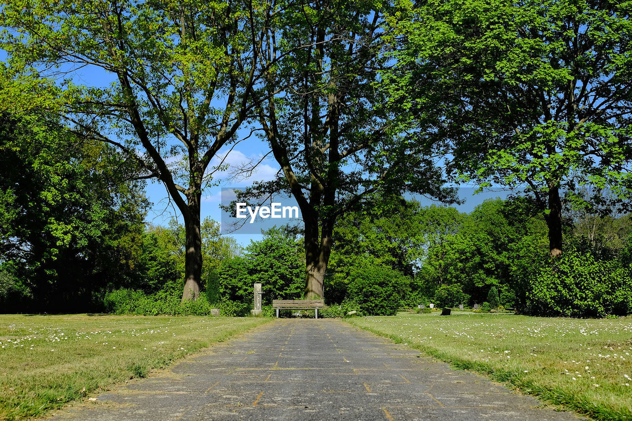 FOOTPATH BY TREES IN PARK