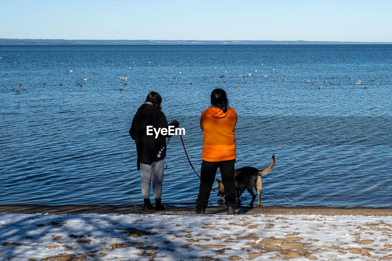 rear view of woman walking on sea against clear sky