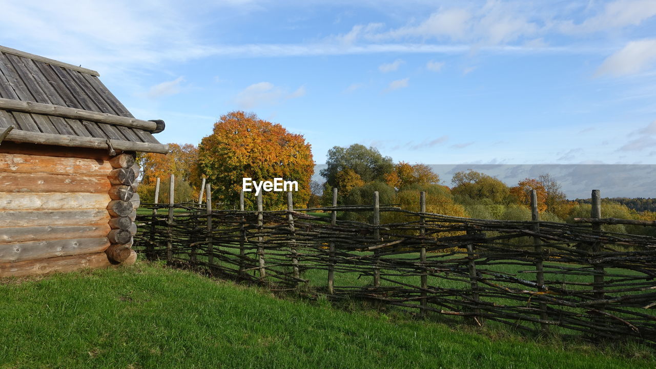 Trees growing on field against sky