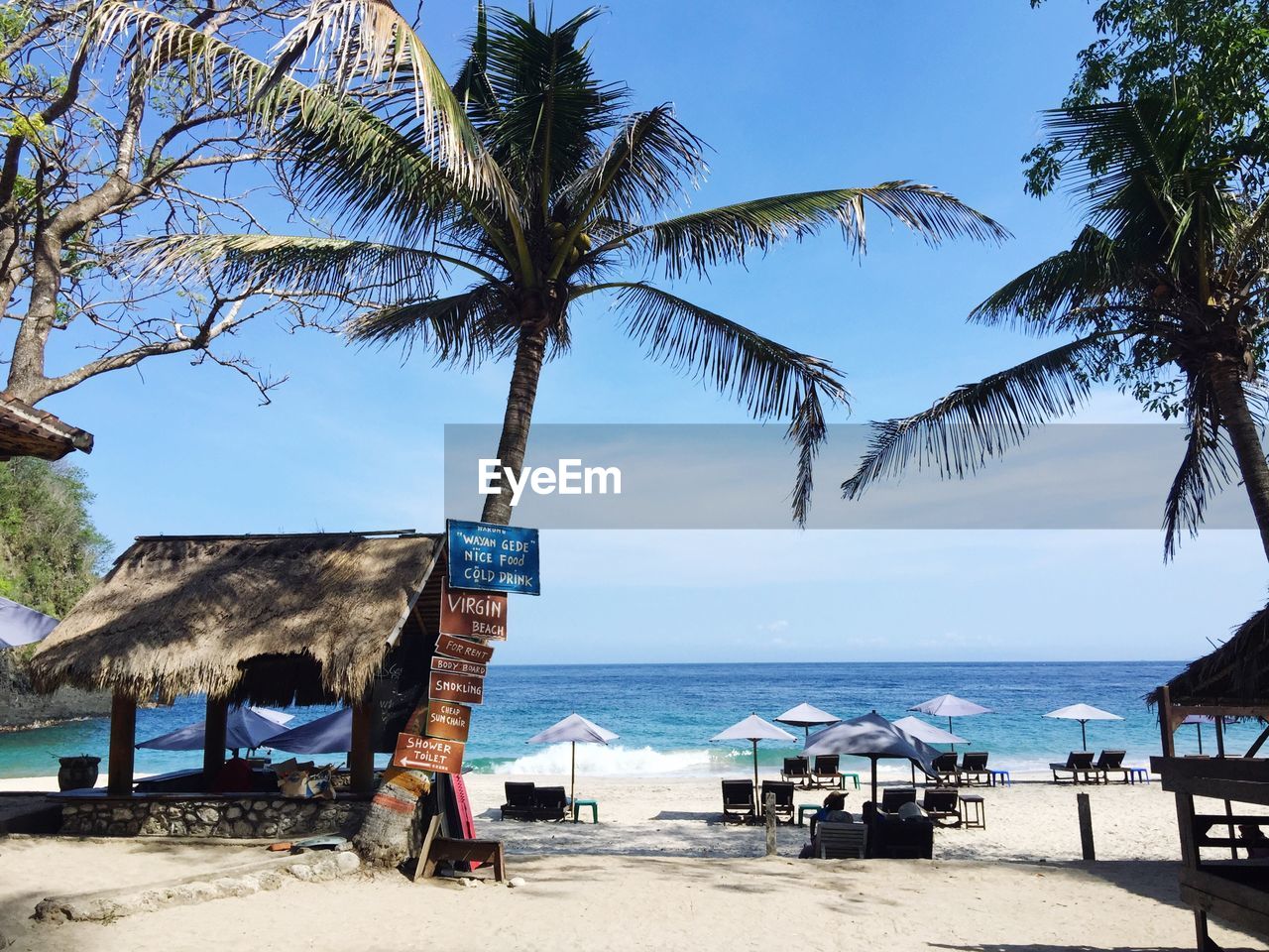 Palm trees and parasols at beach against sky