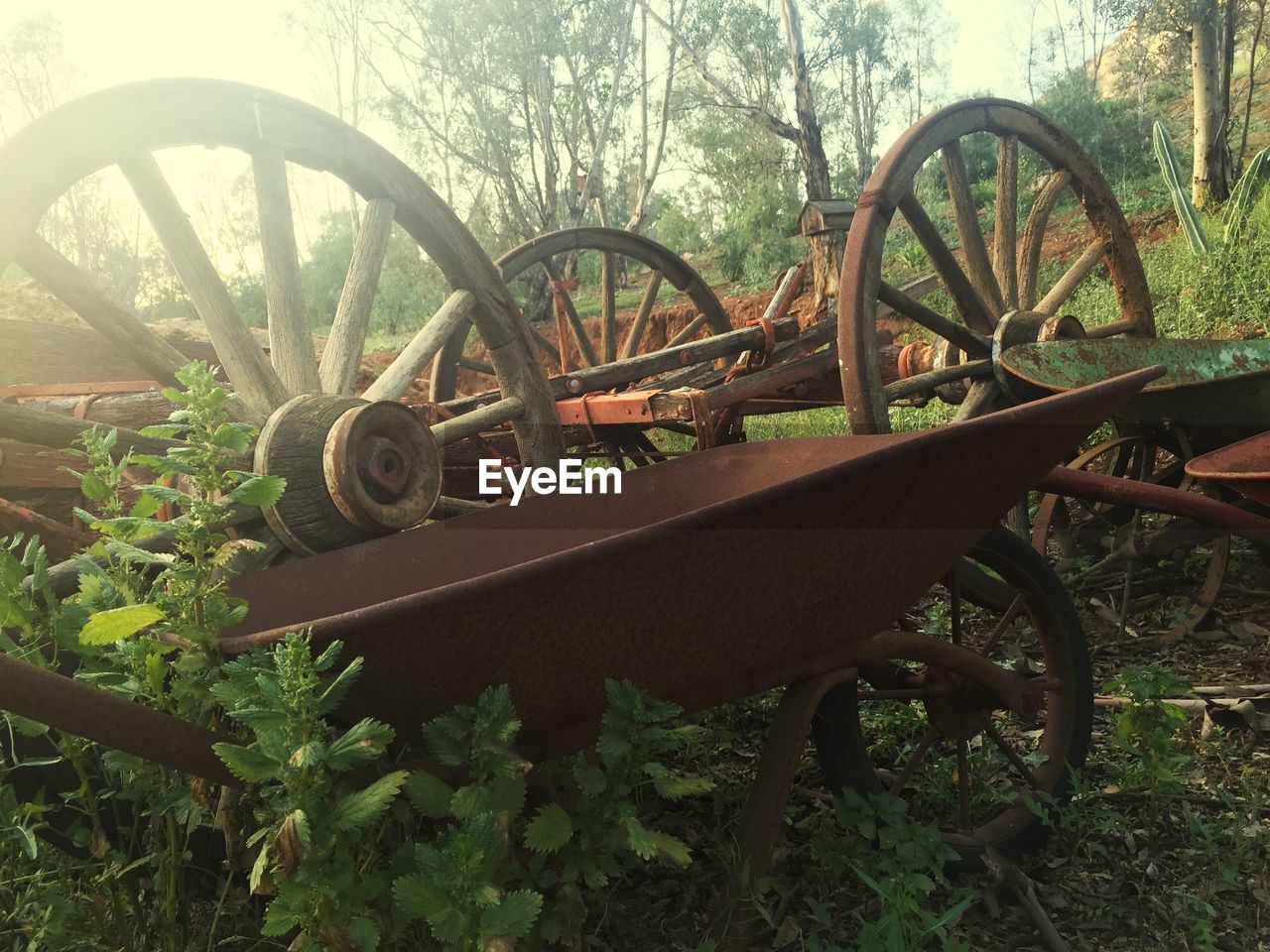 Rusty metal wheelbarrow on field