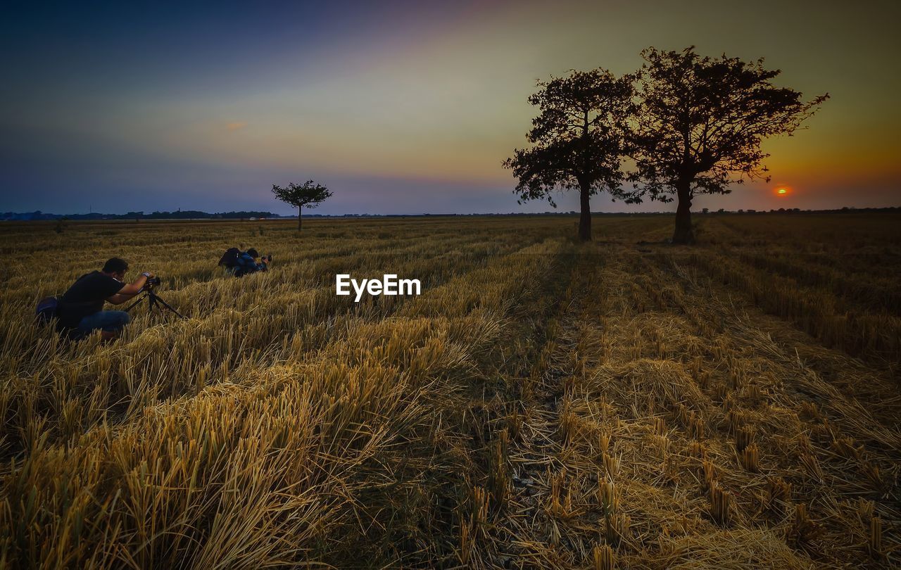 SCENIC VIEW OF FIELD DURING SUNSET