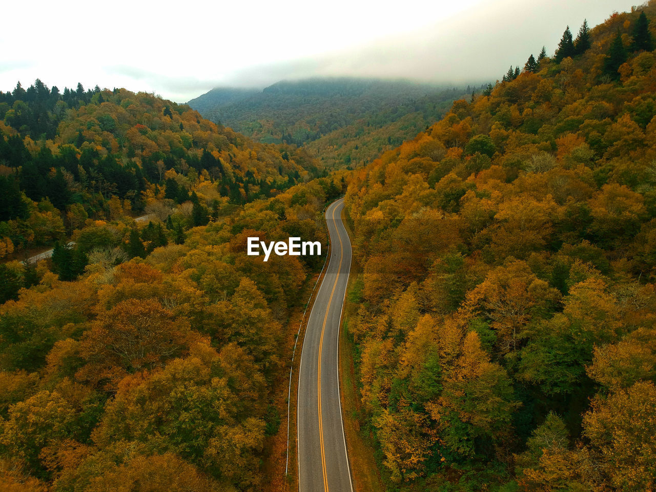 Aerial Drone view of overhead colorful fall / autumn leaf foliage near Asheville, North Carolina.Vibrant red, yellow, teal, orange colors of the Hardwood trees in the Appalachian Mountains. Asheville, NC Asheville Aerial View Drone  Birds Eye Autumn Aerial Aerial Landscape Blue Ridge Mountains Blue Ridge Parkway Fall Foliage Beauty In Nature Outdoors Plant Treetops Colorful Nature Appalachian Mountains Road Curvy Road Aerial Asheville North Carolina Aerial Autumn Aerial Fall Drone Photography Appalachian Trail Appalachia Seasonal Fall Colors Fall Beauty Fall Season Fall Collection Fall Leaves Autumn colors Autumn Leaves Autumn Collection autumn mood Nature No People Day Change