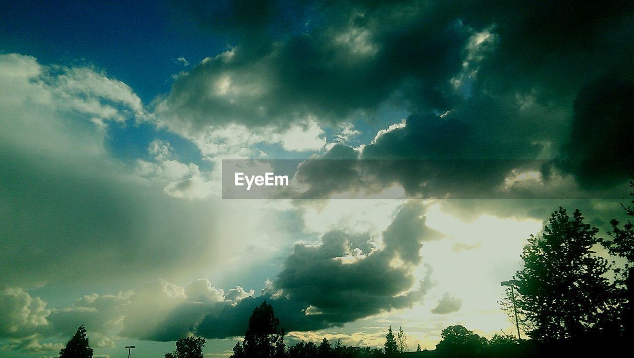 SILHOUETTE OF TREES AGAINST CLOUDY SKY