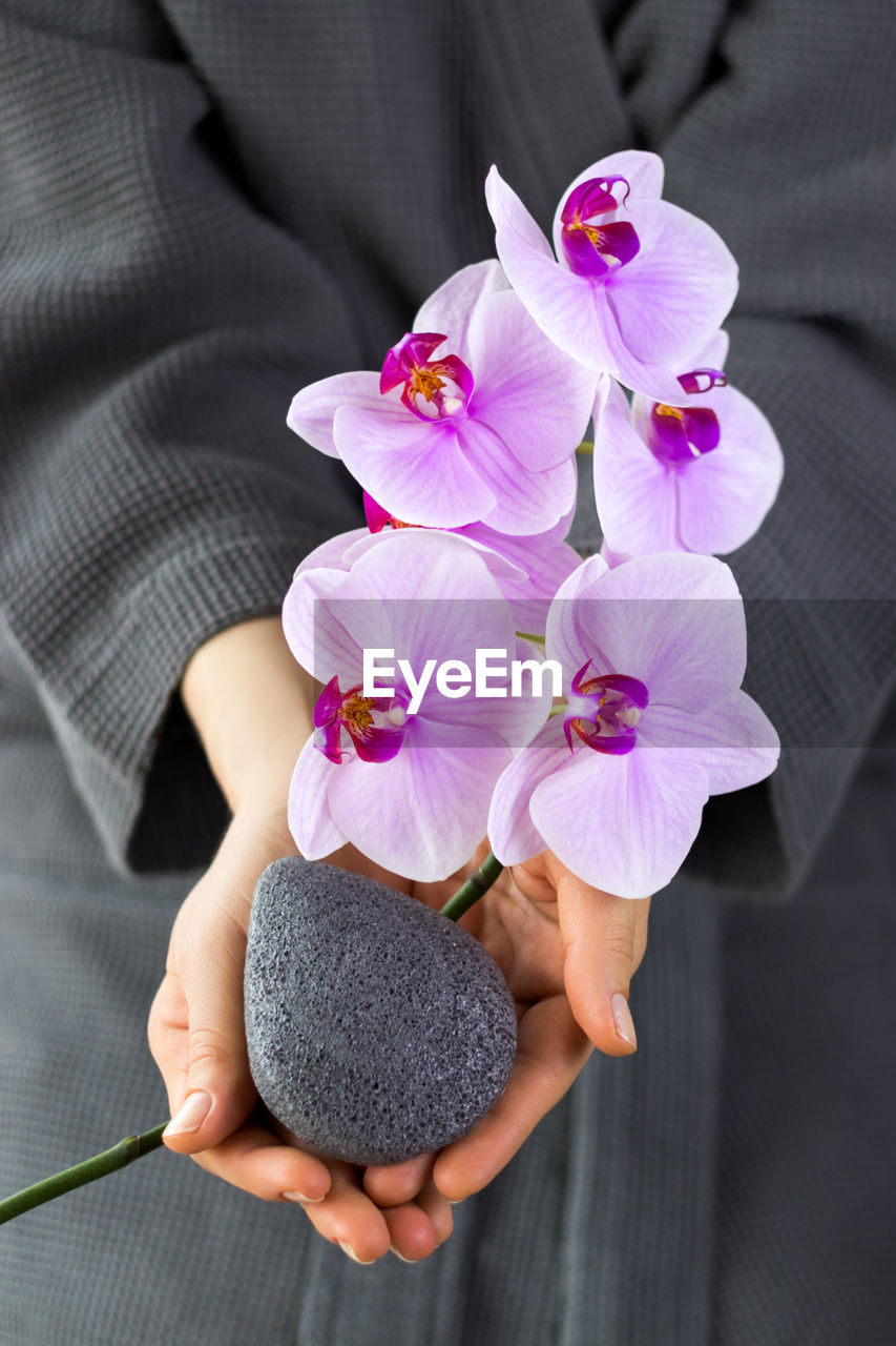 Background with konjac sponge and branch of beautiful pink orchids in a female hands. 