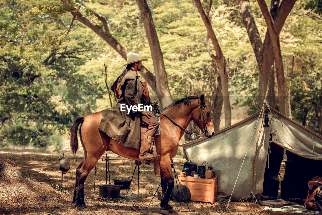 Side view of man sitting on horse in forest