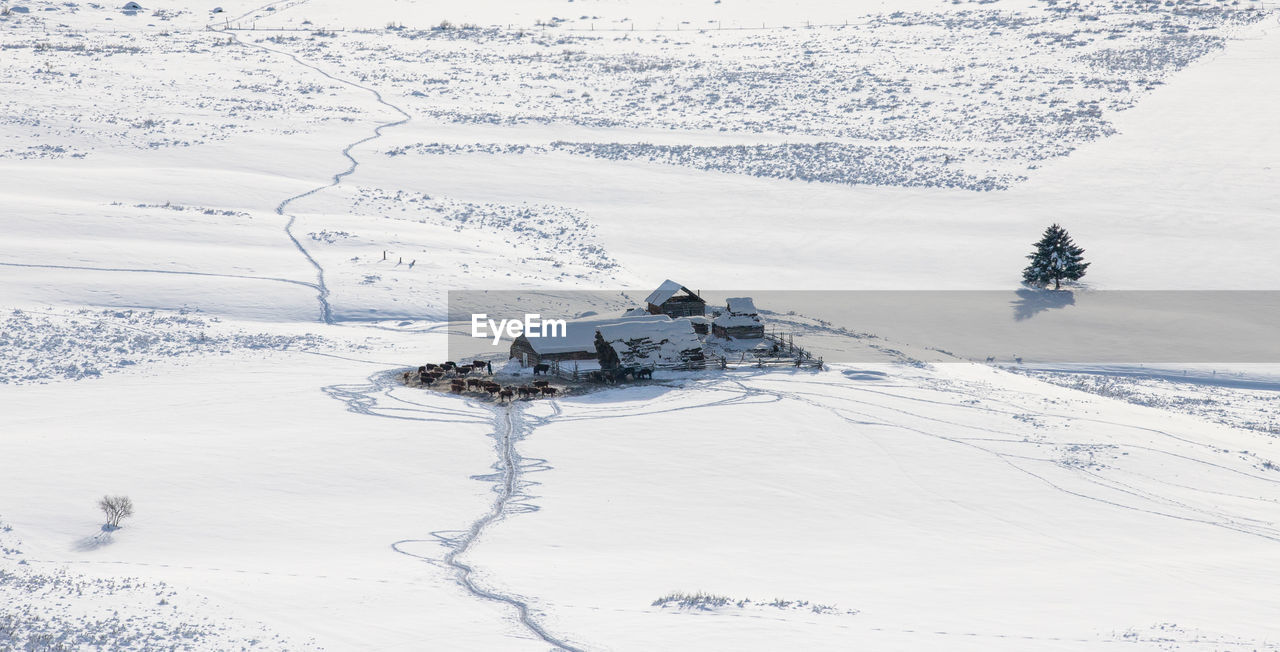 Scenic view of snow covered land