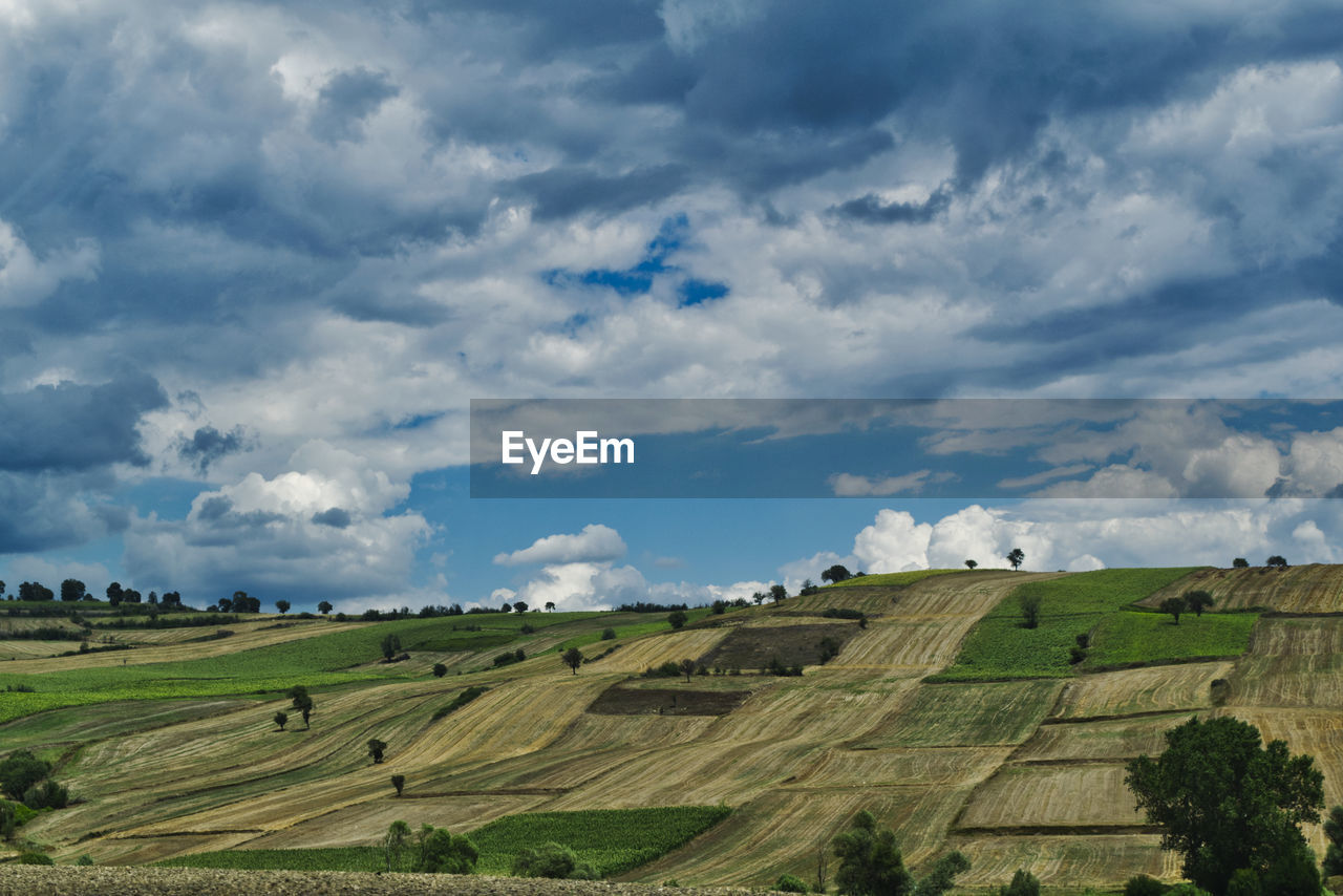 Scenic view of farm against cloudy sky