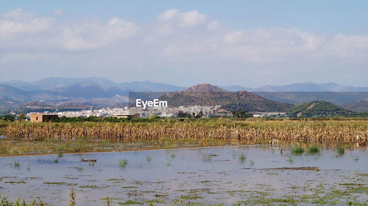 Scenic view of field by lake against sky