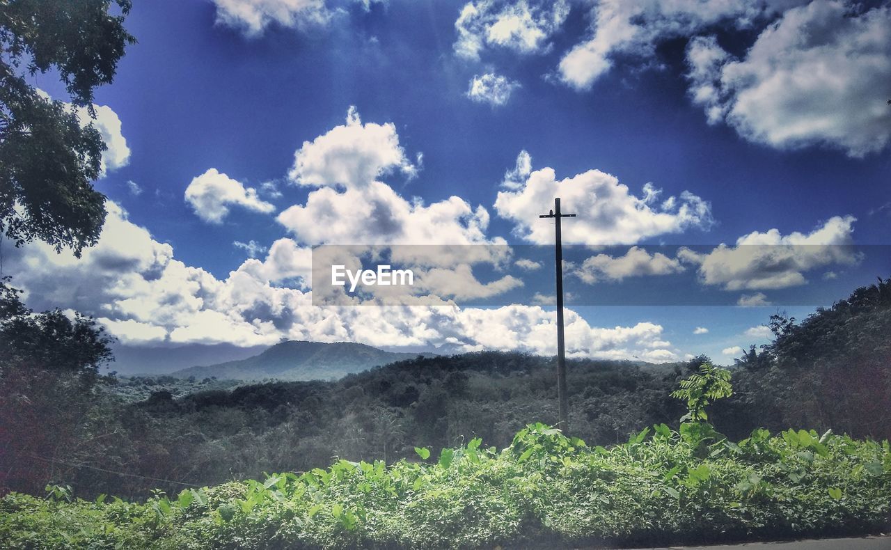 PLANTS GROWING ON FIELD BY MOUNTAINS AGAINST SKY