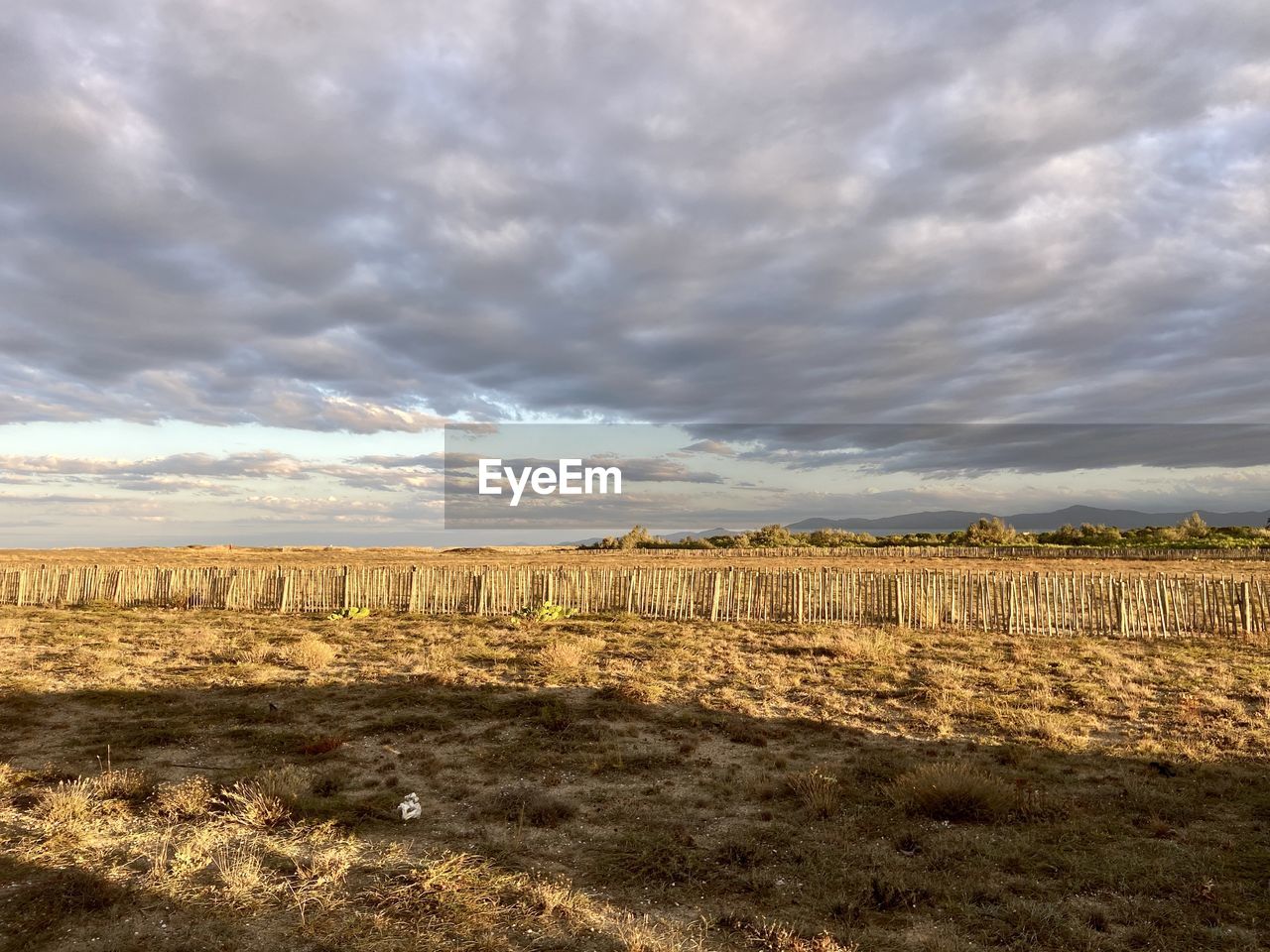 landscape, sky, cloud, environment, land, horizon, field, nature, scenics - nature, soil, natural environment, plant, plain, beauty in nature, rural scene, no people, agriculture, prairie, hill, rural area, tranquility, sunlight, outdoors, day, tranquil scene, steppe, non-urban scene, dramatic sky, horizon over land, farm, grass, growth, crop, grassland, plateau, cloudscape