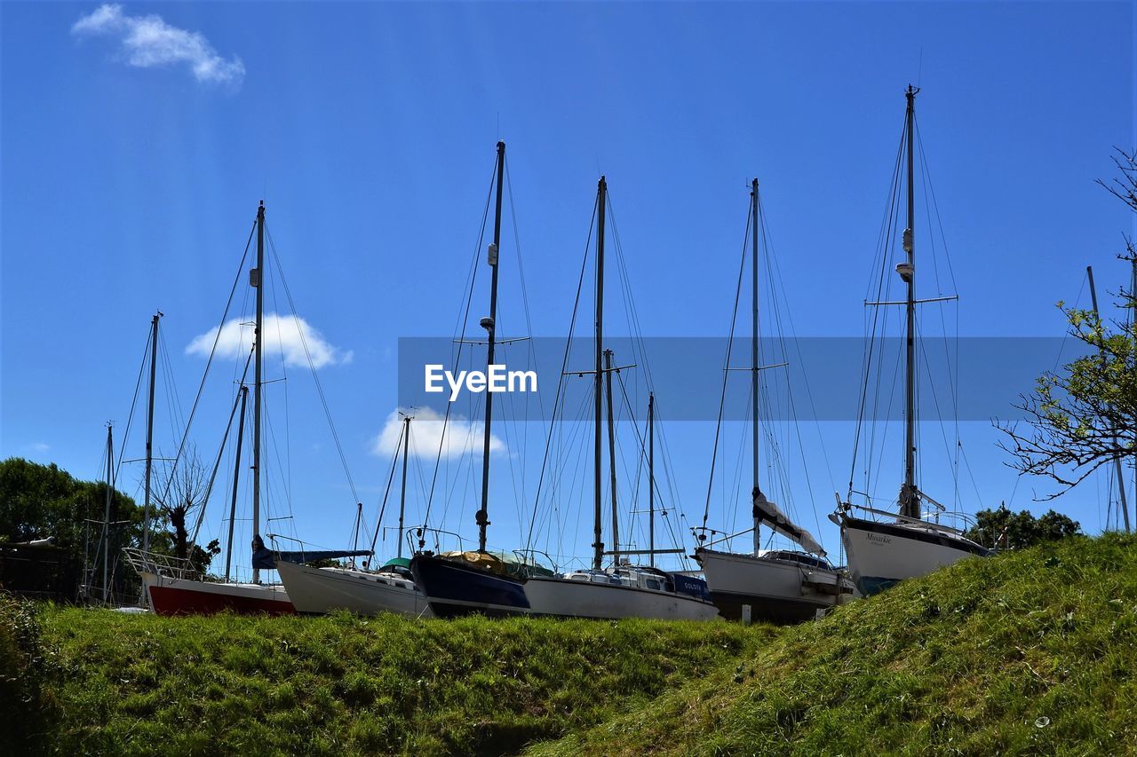 SAILBOATS MOORED IN MARINA