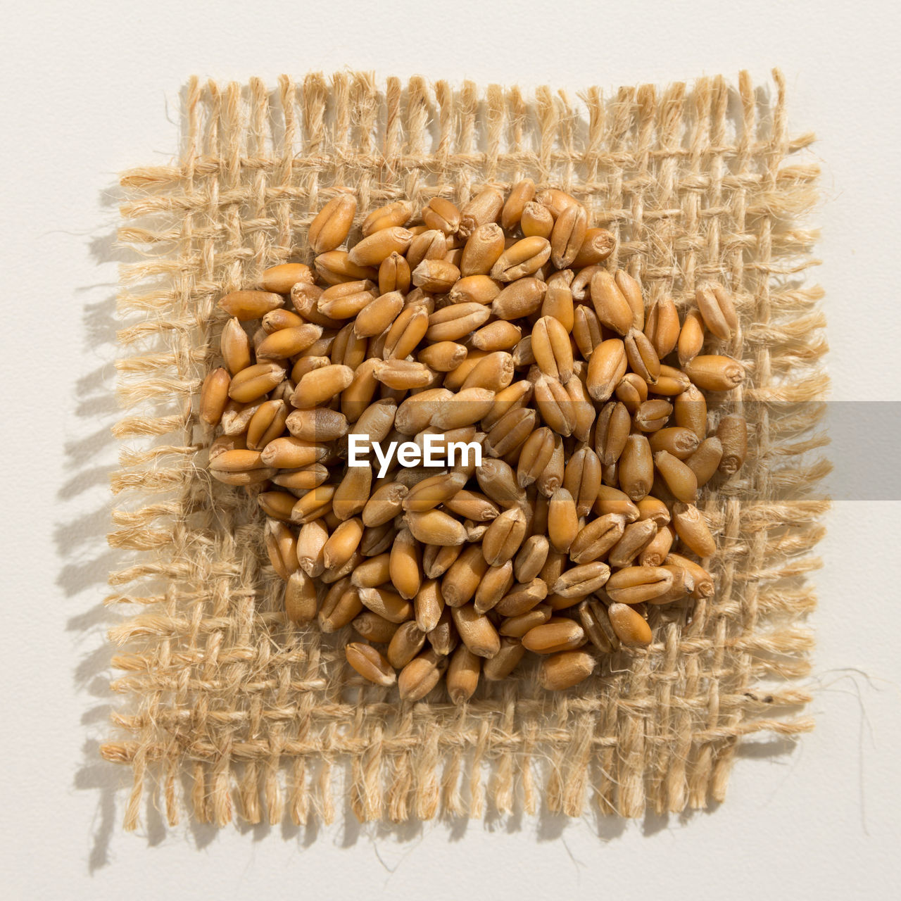 Close-up of wheat grain on jute against white background