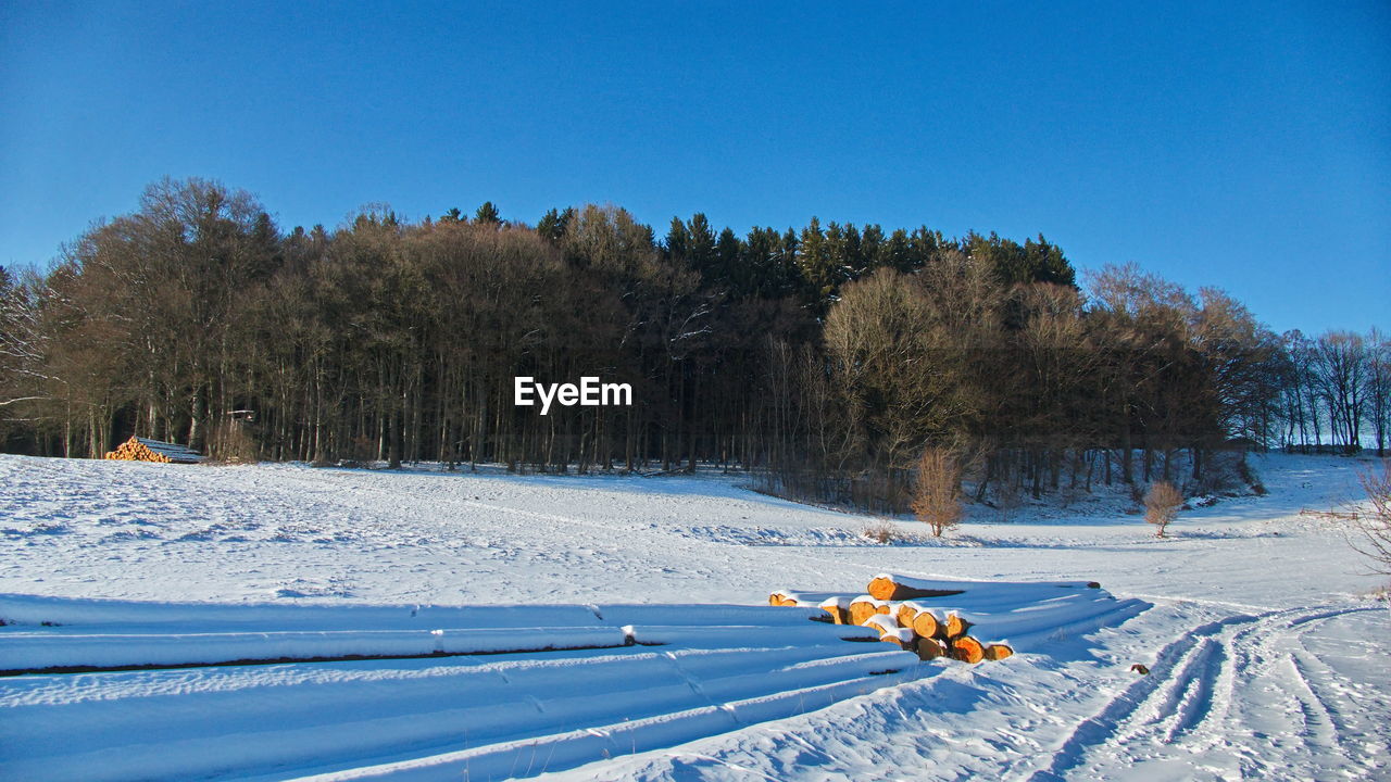 SNOW COVERED FIELD AGAINST CLEAR BLUE SKY