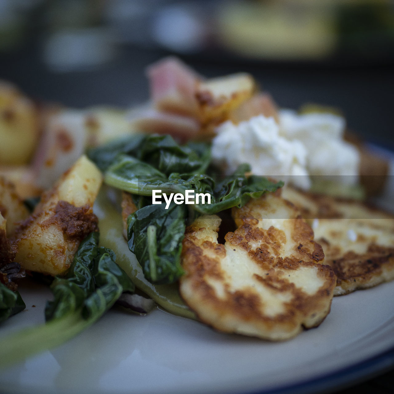 Close-up of food served in plate