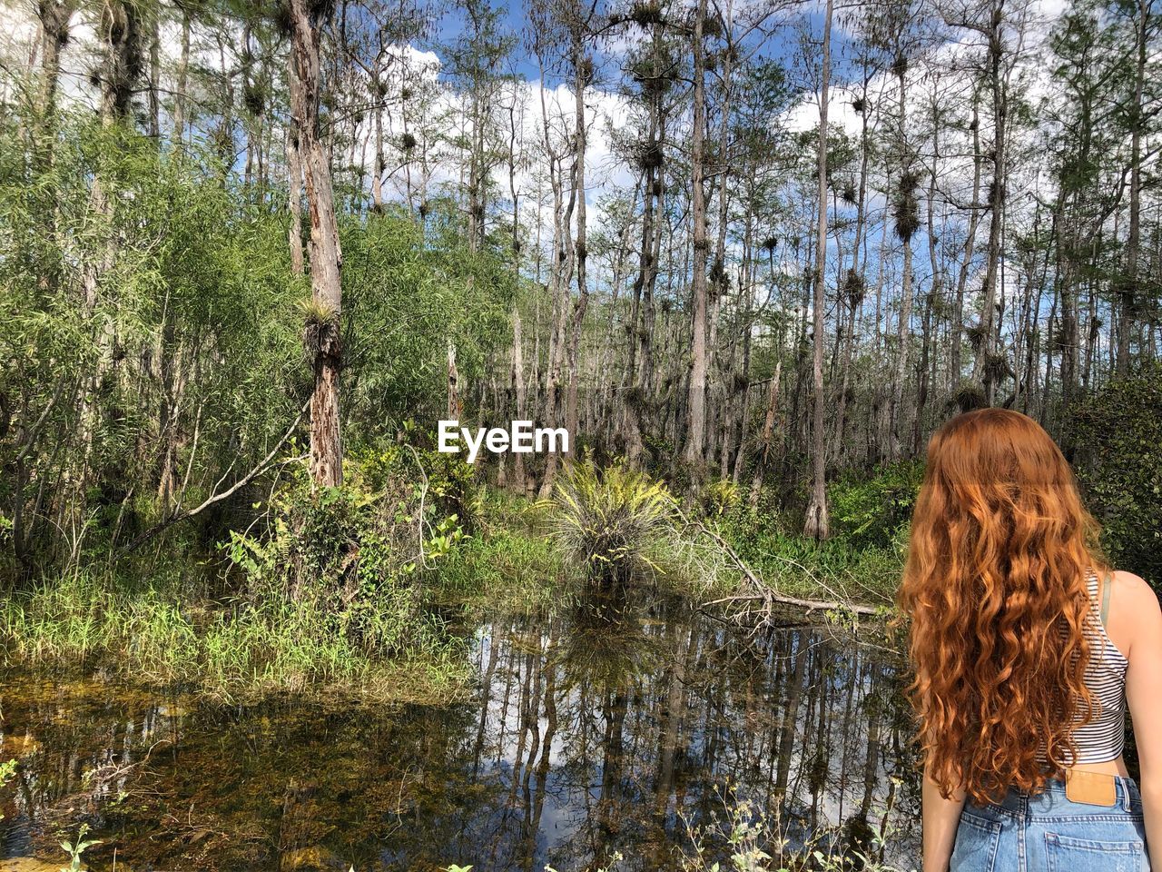 Rear view of woman standing in forest