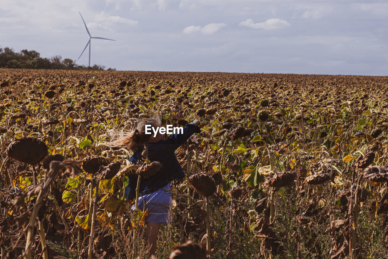 Blond hair child girl in denim jacket walks in sunflowers field wind turbines background. eco energy