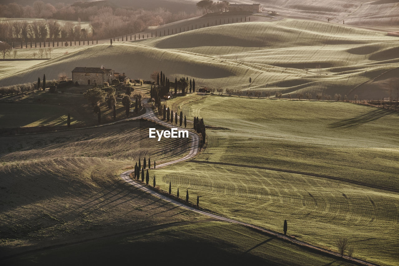 High angle view of agricultural field