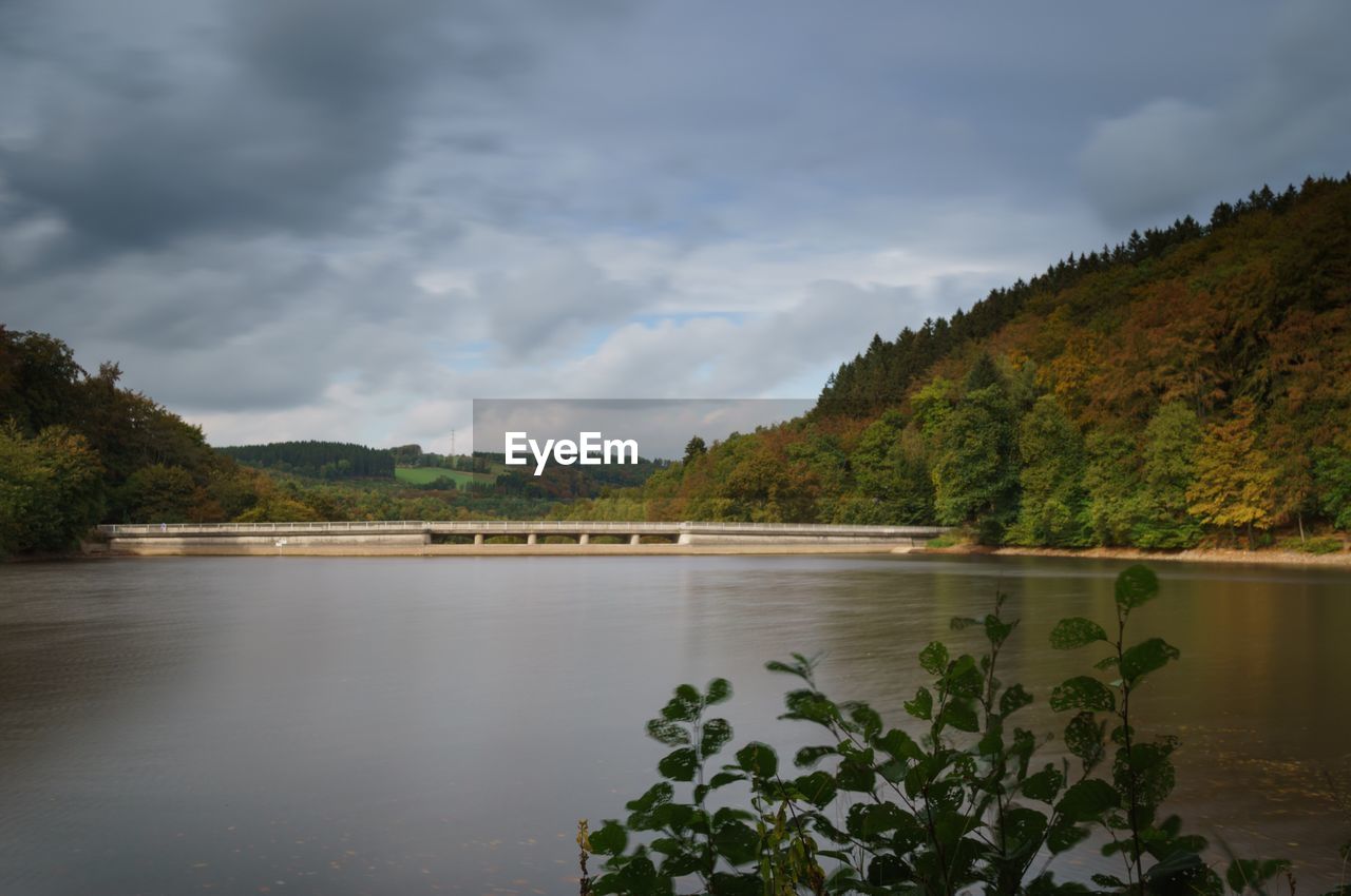 Scenic shot of calm lake against trees