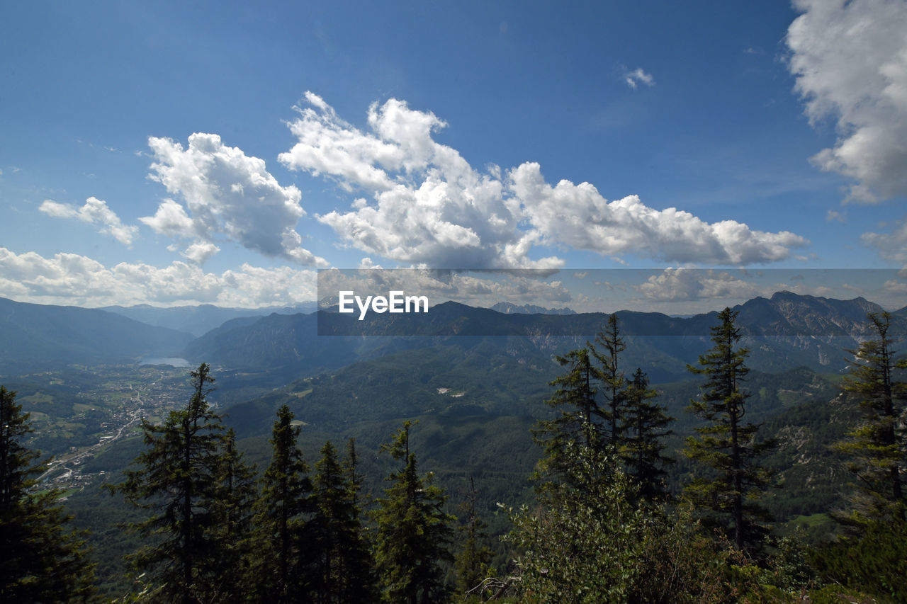 SCENIC VIEW OF TREES AGAINST SKY