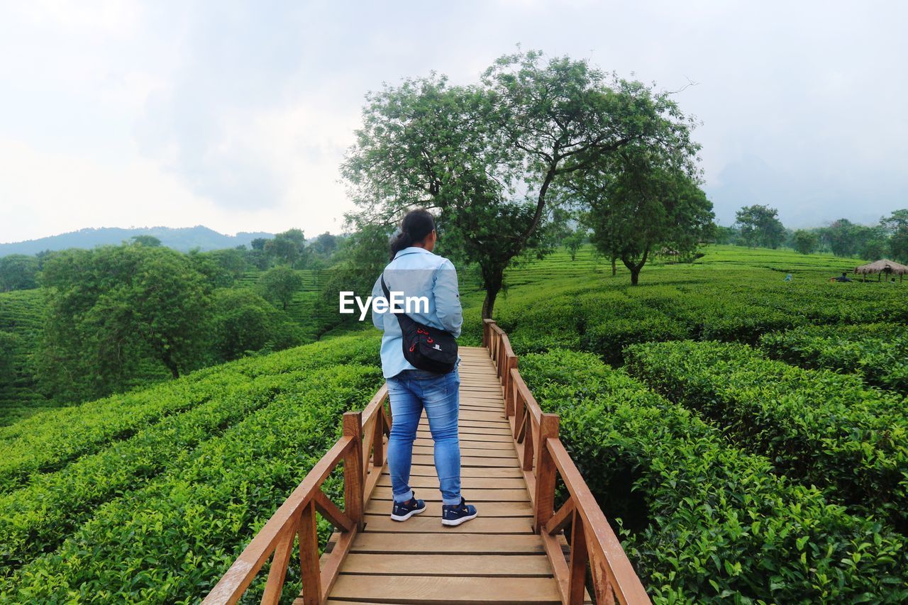 Rear view of man walking on farm