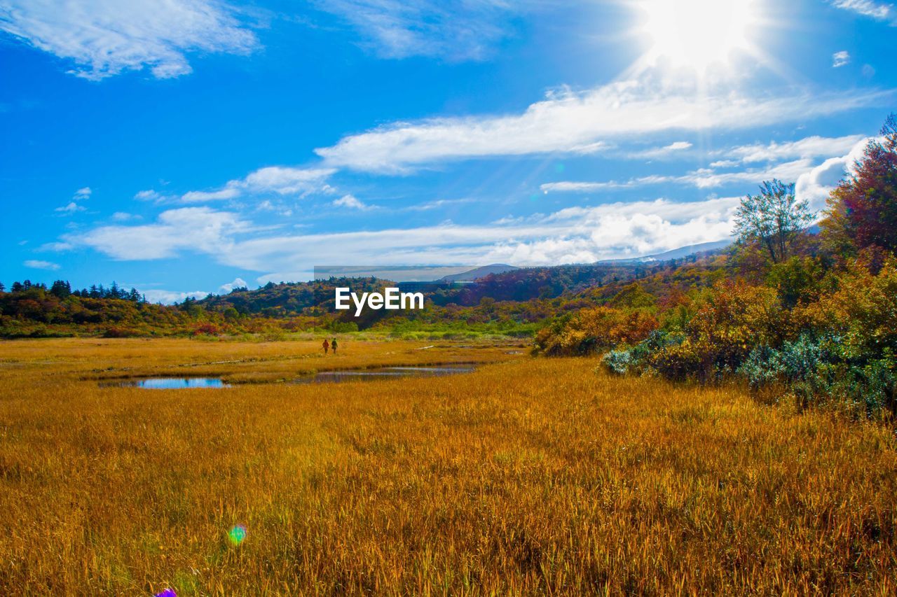 Scenic view of landscape against blue sky