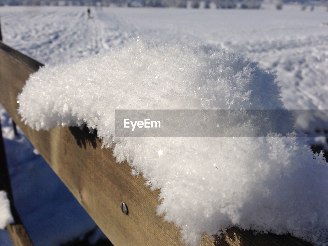 Close-up of snow on wooden fence