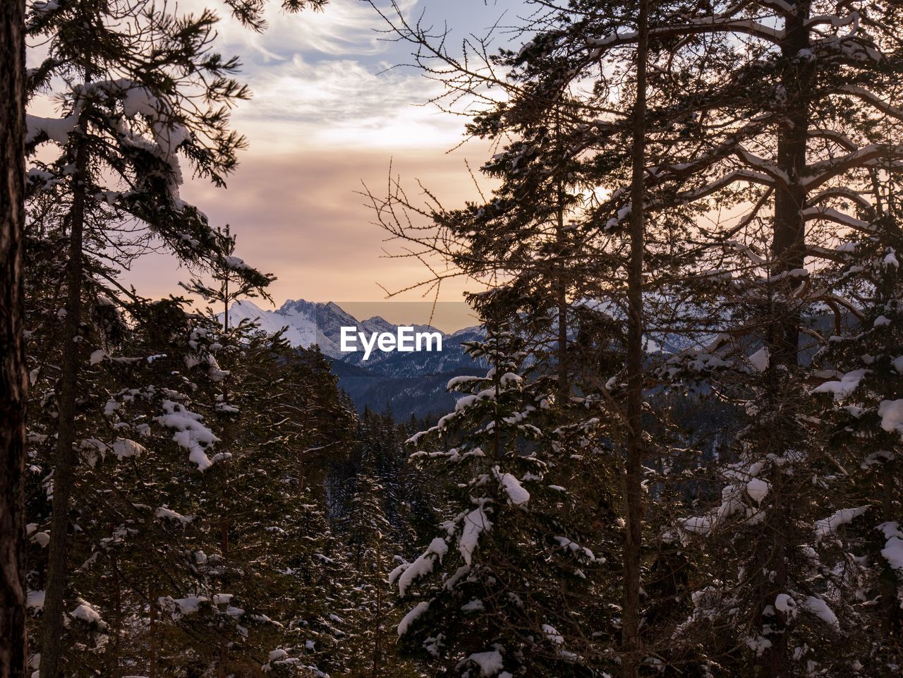 Scenic view of snowcapped mountains against sky during winter