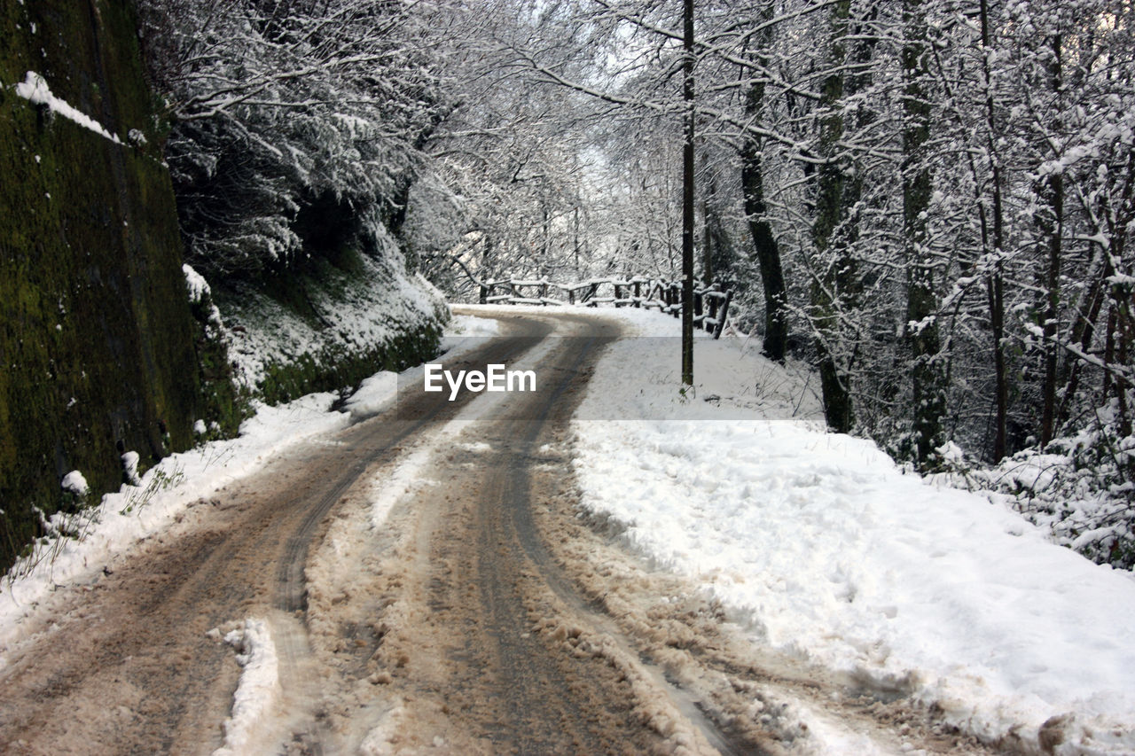 SNOW COVERED ROAD AMIDST TREES