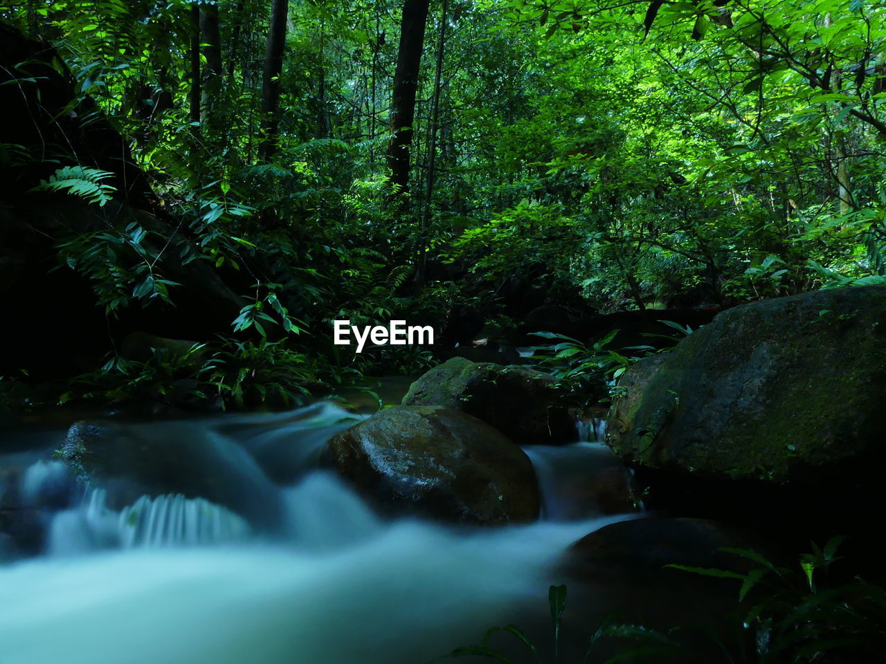 STREAM FLOWING THROUGH ROCKS