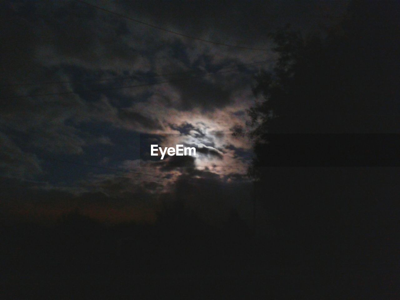 LOW ANGLE VIEW OF TREES AGAINST SKY AT NIGHT