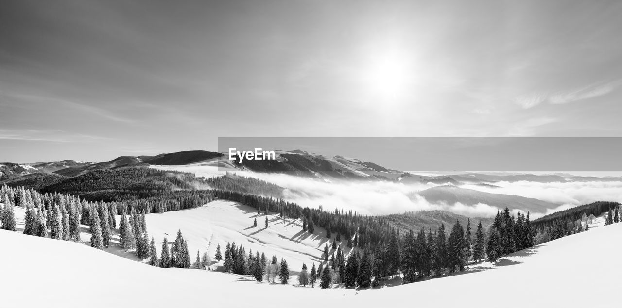 The beauty of winter on the snowy mountains in black and white. rodnei mountains - romania